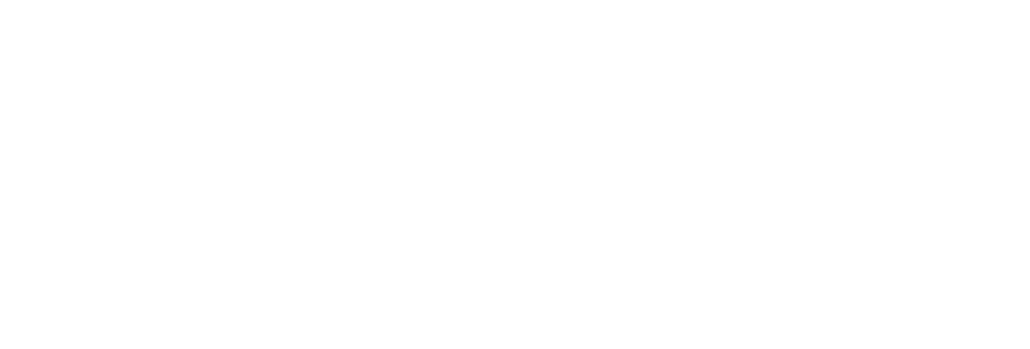 Travelcontrol